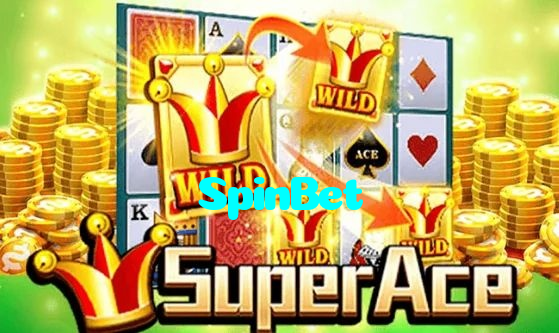 available types of SpinBet bet including pre-match live express and system bets