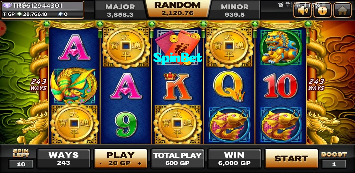 available types of SpinBet bet including pre-match live express and system bets